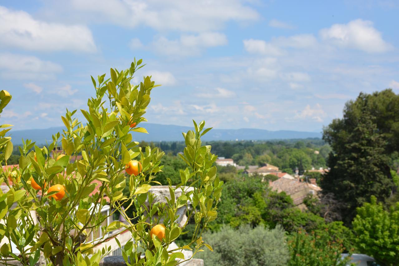 Le Petit Chateau Chateauneuf-de-Gadagne Exterior photo